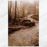 Path Trees Forest Fantasy Canvas 24  x 36 