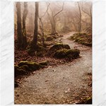Path Trees Forest Fantasy Canvas 36  x 48 