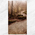 Path Trees Forest Fantasy Canvas 40  x 72 