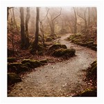 Path Trees Forest Fantasy Medium Glasses Cloth