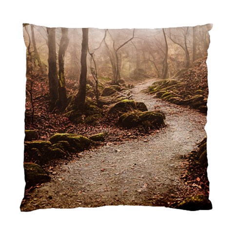Path Trees Forest Fantasy Standard Cushion Case (One Side) from ArtsNow.com Front