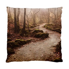 Path Trees Forest Fantasy Standard Cushion Case (Two Sides) from ArtsNow.com Front