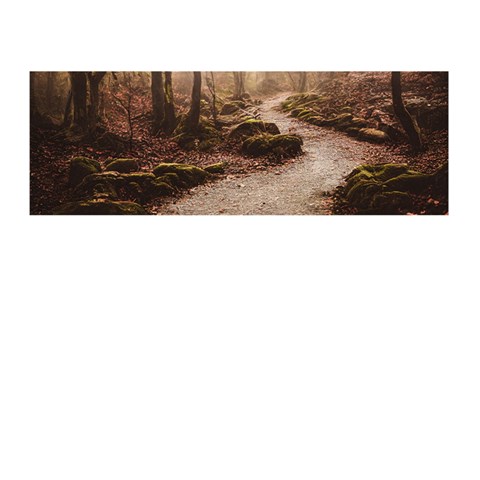 Path Trees Forest Fantasy Memory Card Reader (Stick) from ArtsNow.com Front