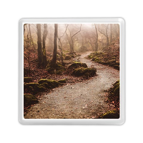 Path Trees Forest Fantasy Memory Card Reader (Square) from ArtsNow.com Front