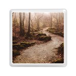 Path Trees Forest Fantasy Memory Card Reader (Square)