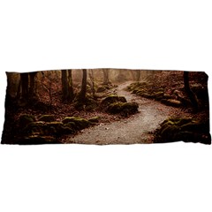Path Trees Forest Fantasy 67 x25  Body Pillow Case Dakimakura (Two Sides) from ArtsNow.com Front