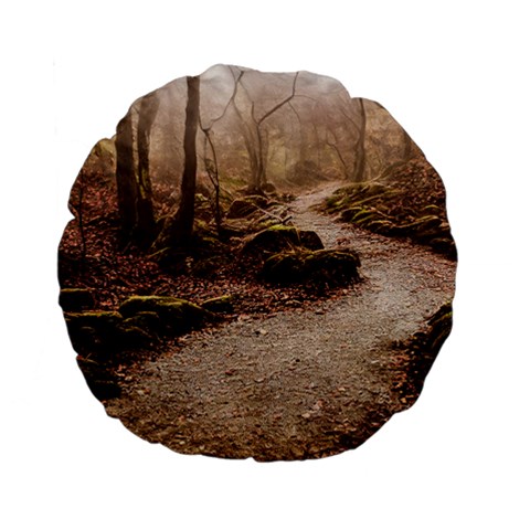 Path Trees Forest Fantasy Standard 15  Premium Flano Round Cushions from ArtsNow.com Front