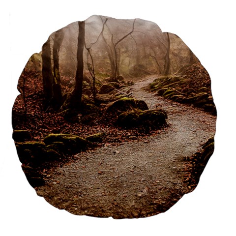 Path Trees Forest Fantasy Large 18  Premium Flano Round Cushions from ArtsNow.com Front