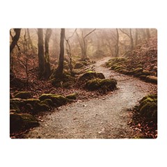 Path Trees Forest Fantasy 35  x 27  Two Sides Premium Plush Fleece Blanket (Mini) from ArtsNow.com 35 x27  Blanket Back
