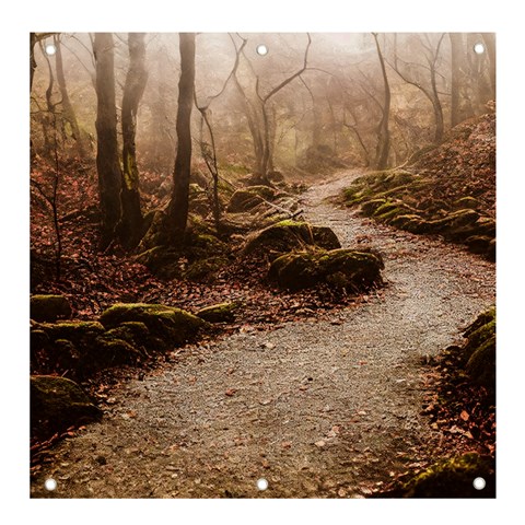 Path Trees Forest Fantasy Banner and Sign 4  x 4  from ArtsNow.com Front