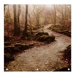 Path Trees Forest Fantasy Banner and Sign 4  x 4 