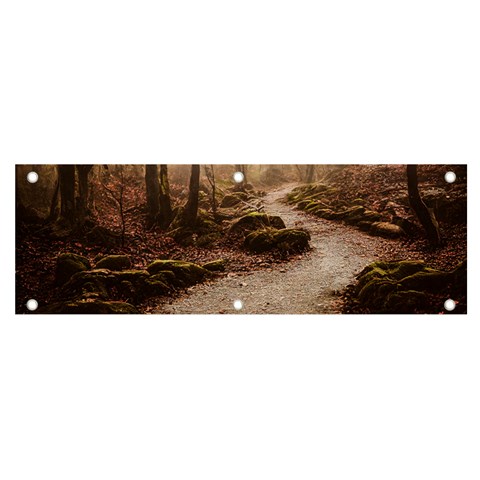 Path Trees Forest Fantasy Banner and Sign 6  x 2  from ArtsNow.com Front