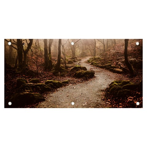 Path Trees Forest Fantasy Banner and Sign 6  x 3  from ArtsNow.com Front