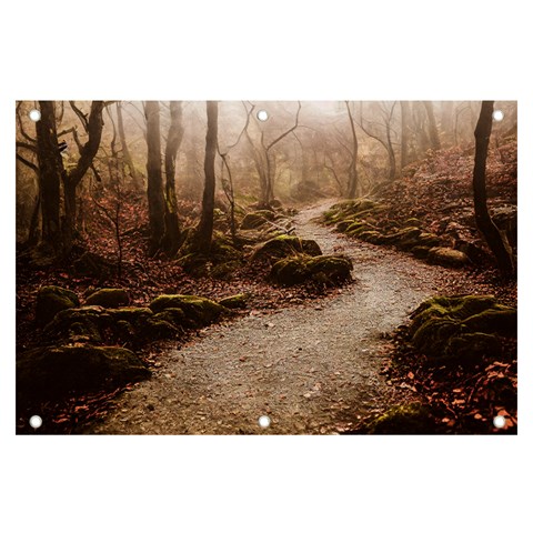 Path Trees Forest Fantasy Banner and Sign 6  x 4  from ArtsNow.com Front