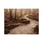 Path Trees Forest Fantasy 35  x 27  Premium Plush Fleece Blanket (Mini)