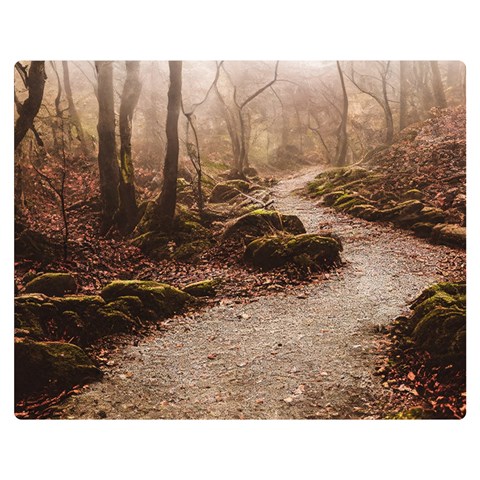 Path Trees Forest Fantasy 60  x 50  Premium Plush Fleece Blanket (Medium) from ArtsNow.com 60 x50  Blanket Front