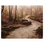 Path Trees Forest Fantasy 60  x 50  Premium Plush Fleece Blanket (Medium)