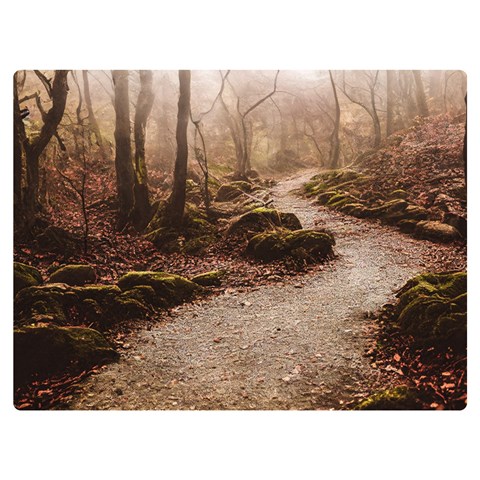 Path Trees Forest Fantasy 40  x 30  Premium Plush Fleece Blanket (Extra Small) from ArtsNow.com 40 x30  Blanket Front