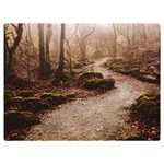 Path Trees Forest Fantasy 40  x 30  Premium Plush Fleece Blanket (Extra Small)