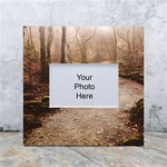 Path Trees Forest Fantasy White Box Photo Frame 4  x 6 