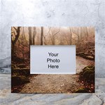 Path Trees Forest Fantasy White Tabletop Photo Frame 4 x6 