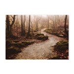 Path Trees Forest Fantasy Crystal Sticker (A4)