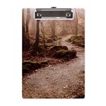 Path Trees Forest Fantasy A5 Acrylic Clipboard