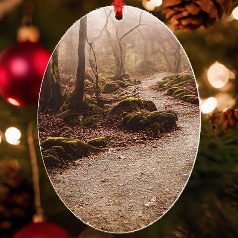 Path Trees Forest Fantasy UV Print Acrylic Ornament Oval from ArtsNow.com Front