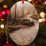 Path Trees Forest Fantasy UV Print Acrylic Ornament Oval