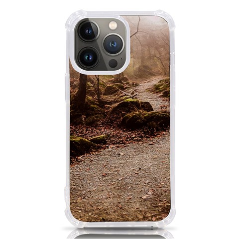 Path Trees Forest Fantasy iPhone 13 Pro TPU UV Print Case from ArtsNow.com Front