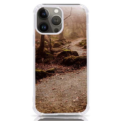 Path Trees Forest Fantasy iPhone 13 Pro Max TPU UV Print Case from ArtsNow.com Front