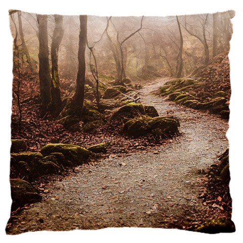Path Trees Forest Fantasy 18  Baby Flannel Cushion Case (Two Sides) from ArtsNow.com Back