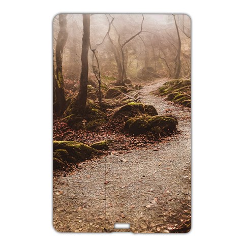 Path Trees Forest Fantasy Name Card Style USB Flash Drive from ArtsNow.com Front