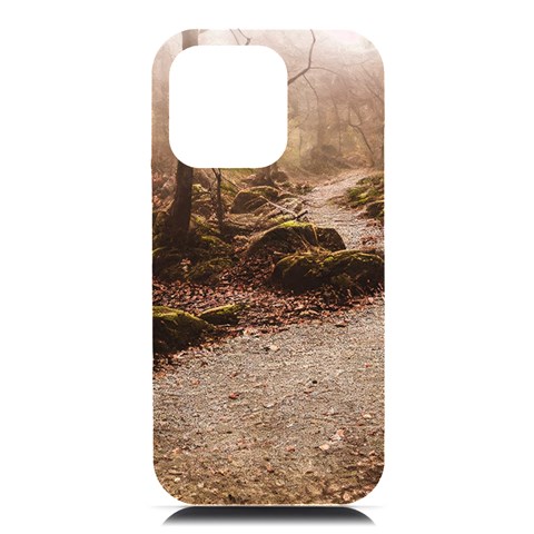 Path Trees Forest Fantasy iPhone 16 Pro Max Black UV Print PC Hardshell Case from ArtsNow.com Front
