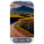 Sunflowers Flowers Nature Sterilizers