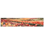 Tulips Field Tree 12 X60  Small Premium Plush Fleece Scarf