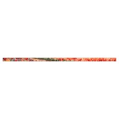 Tulips Field Tree Cotton Crop Top from ArtsNow.com Hem