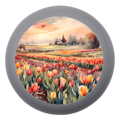 Tulips Field Tree Dento Box with Mirror from ArtsNow.com Front