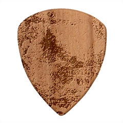 abstraction 22 Wood Guitar Pick (Set of 10) from ArtsNow.com Front
