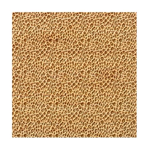 Blue Brown Leopard Bamboo Coaster Set from ArtsNow.com Coaster 1
