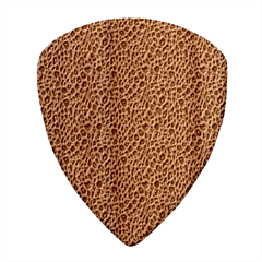 Blue Brown Leopard Guitar Shape Wood Guitar Pick Holder Case And Picks Set from ArtsNow.com Pick