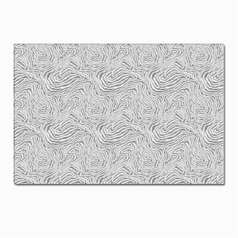 Light Grey Snake Postcard 6 x 4  (Pkg of 10) from ArtsNow.com Front