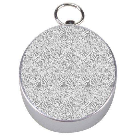 Light Grey Snake Silver Compasses from ArtsNow.com Front