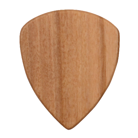 Light Grey Snake Wood Guitar Pick (Set of 10) from ArtsNow.com Front