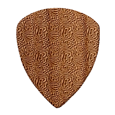 Brown Beige Snake Pattern Wood Guitar Pick (Set of 10) from ArtsNow.com Front