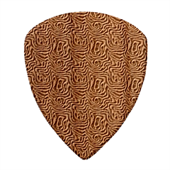 Brown Beige Snake Pattern Wood Guitar Pick (Set of 10) from ArtsNow.com Front