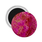Tondo 2.25  Magnets