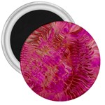 Tondo 3  Magnets
