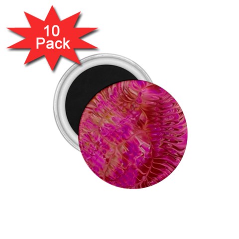 Tondo 1.75  Magnets (10 pack)  from ArtsNow.com Front