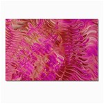 Tondo Postcard 6 x 4  (Pkg of 10)